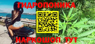 шишки Гусь-Хрустальный