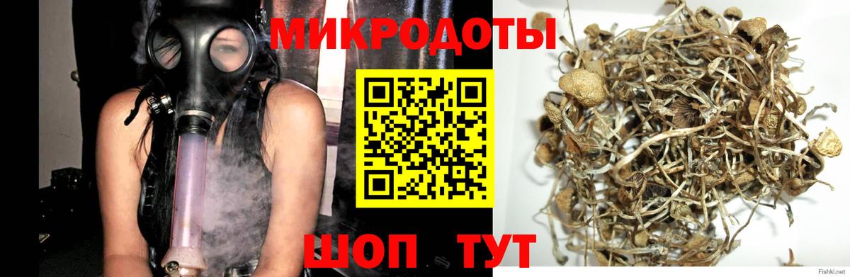 Галлюциногенные грибы ЛСД Нижний Тагил